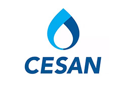 Cesan'